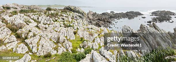 new zealand, chatham island, schist rock shore at point munning - chatham islands new zealand stock-fotos und bilder