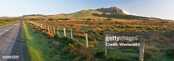 new zealand, chatham island, wharekauri gravel road and hills in morning light - chatham islands new zealand photos et images de collection