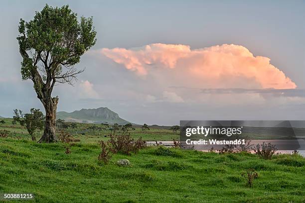 new zealand, chatham island, evening cloud over blind jims creek - chatham islands new zealand stock pictures, royalty-free photos & images