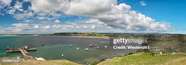 new zealand, chatham island, waitangi, fishing boats in bay - waitangi imagens e fotografias de stock