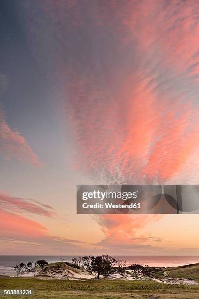 new zealand, chatham island, sunset over ohira bay - chatham islands new zealand stock-fotos und bilder