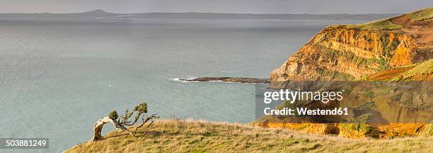 new zealand, chatham island, red cliffs at point weeding - chatham islands new zealand stock-fotos und bilder