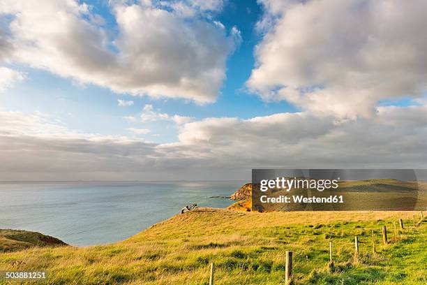 new zealand, chatham island, red cliffs at point weeding - chatham islands new zealand stock-fotos und bilder