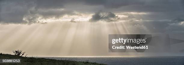 new zealand, chatham island, sun breaking through clouds - chatham islands new zealand stock-fotos und bilder