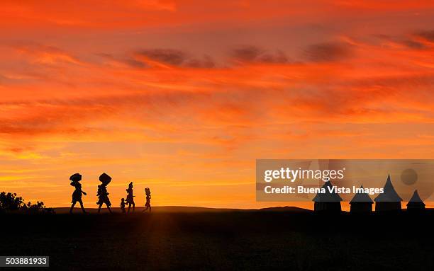 himba women returning to their village - opuwo stock pictures, royalty-free photos & images