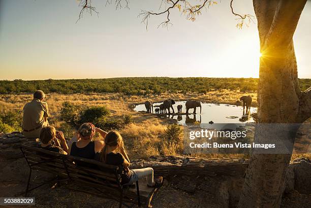 Family watching elephants