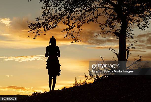 himba woman with traditional hair dress - opuwo tribe bildbanksfoton och bilder