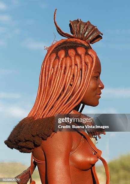 himba woman with traditional hair dress - mamilo imagens e fotografias de stock