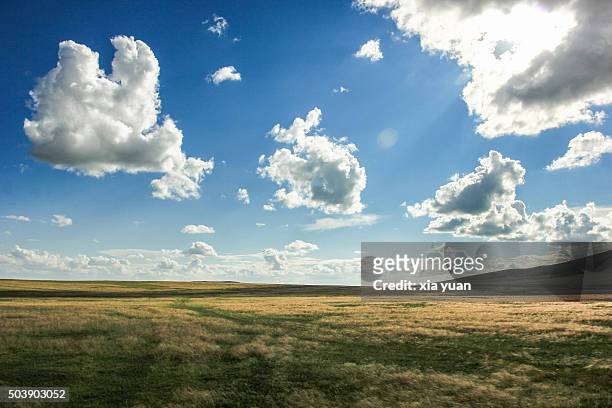 clouds float above hulunbuir grasslands,hulun buir city,inner mongolia,china - wide stock-fotos und bilder