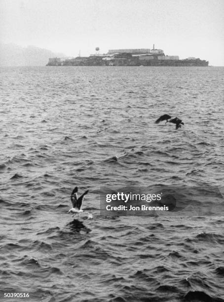 Picture of the Alcatraz prison, where several prisoners escaped.