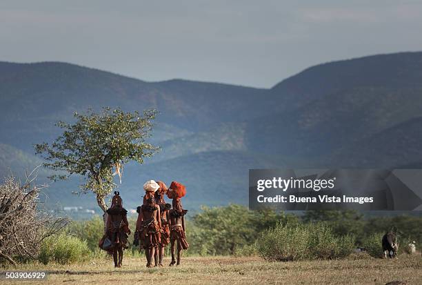 himba women returning to their village - opuwo tribe foto e immagini stock