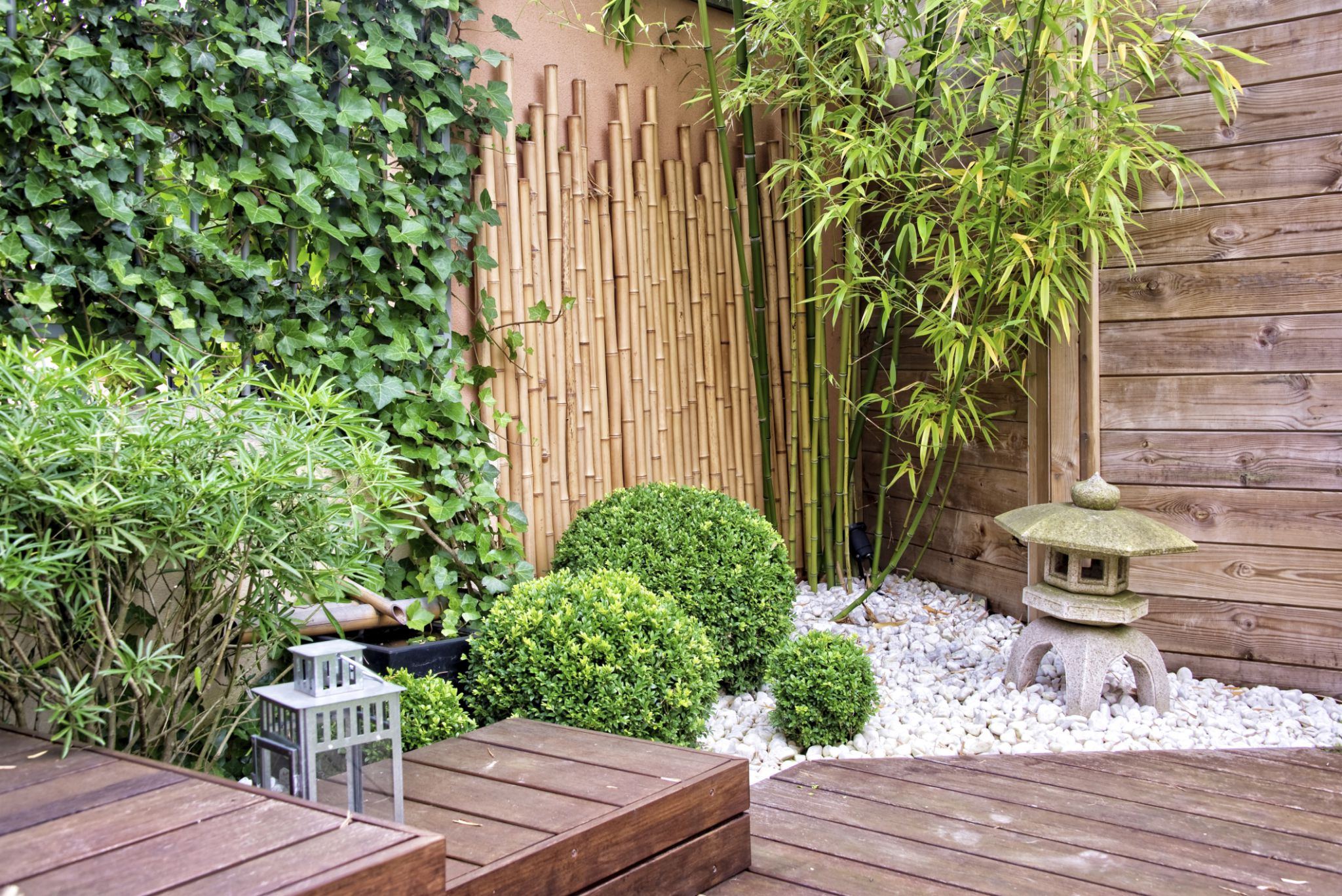 bamboo patio