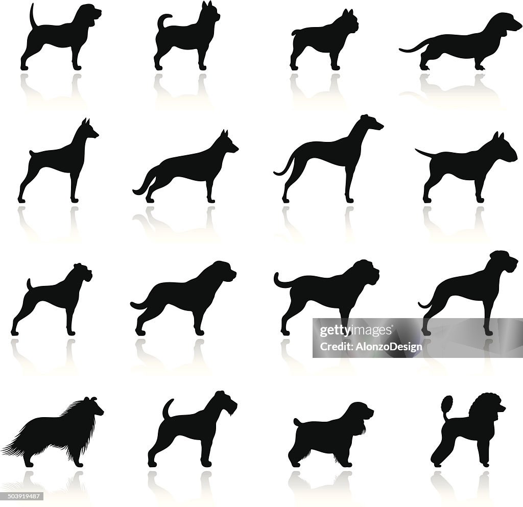 Dogs Icon Set