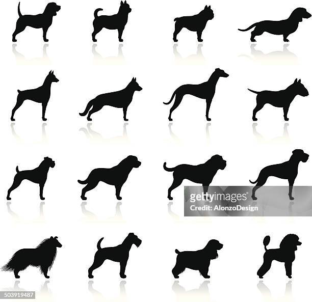 dogs icon set - cocker spaniel stock illustrations