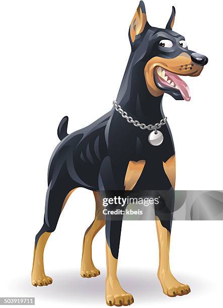 ilustraciones, imágenes clip art, dibujos animados e iconos de stock de doberman - dobermann