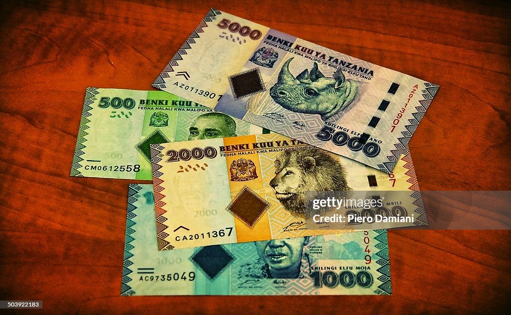 Tanzanian Shilling