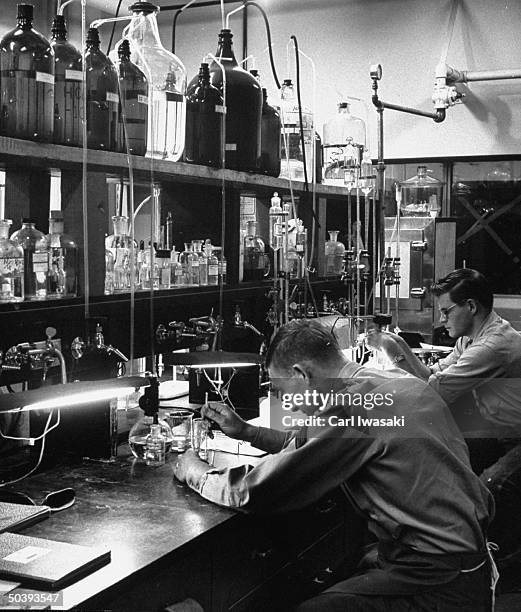 Lab Denver Cell Denver Laboratory Photos and Premium High Res Pictures - Getty Images