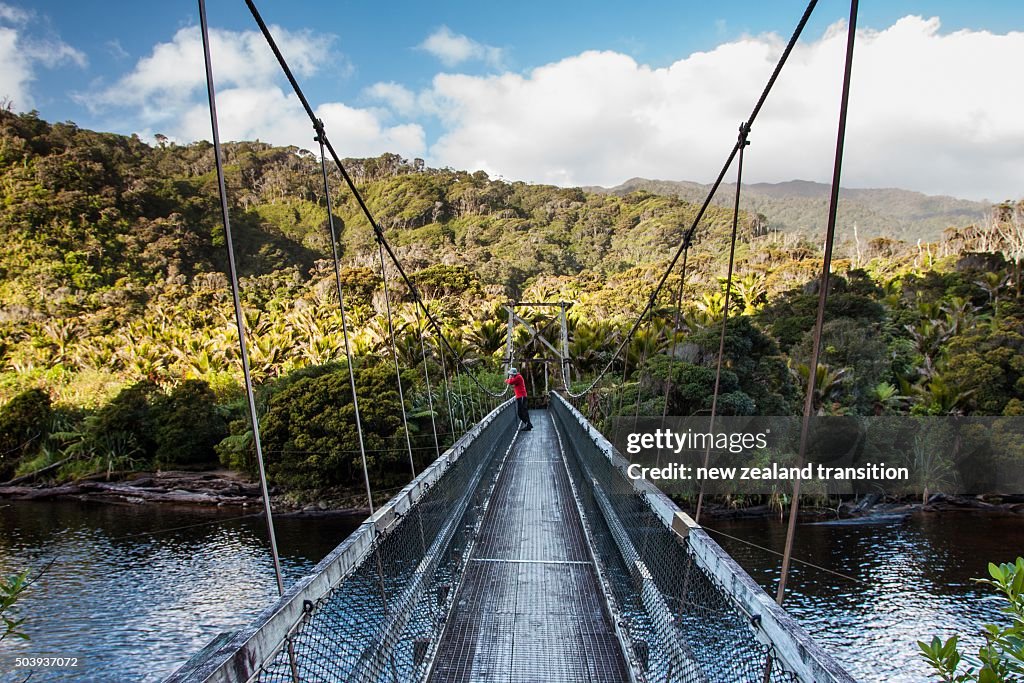 Person in red on the bridge over Kohaihai River, Kahurangi National Park, New Zealand