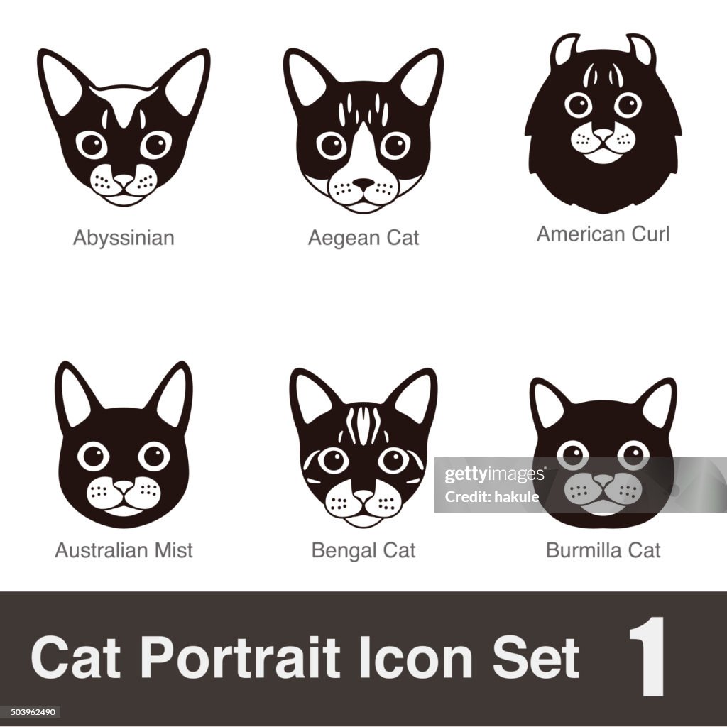 Cat Breed Face Cartoon Flat Icon Series Vector Illustration High-Res Vector  Graphic - Getty Images