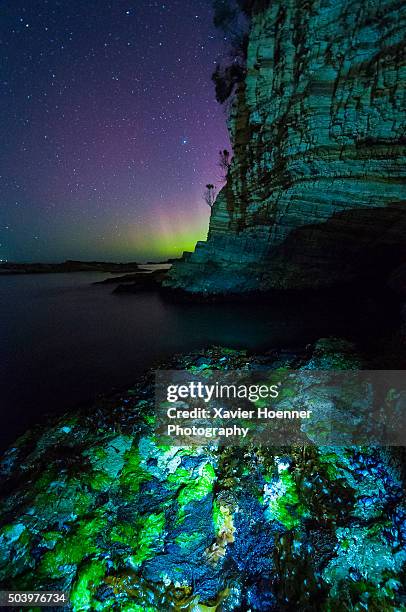 aurora australis | tinderbox | tasmania - tasmania stock pictures, royalty-free photos & images