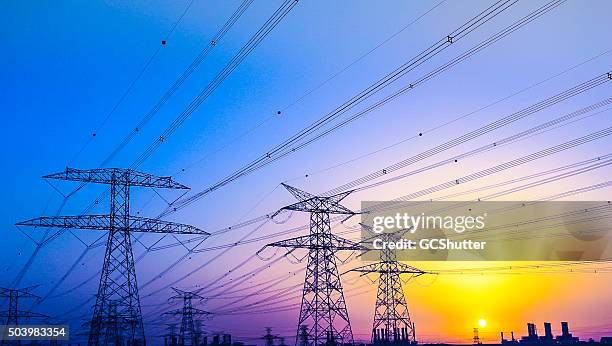 electrical pylons near jabel ali, dubai, united arab emirates - electricity pylon 個照片及圖片檔