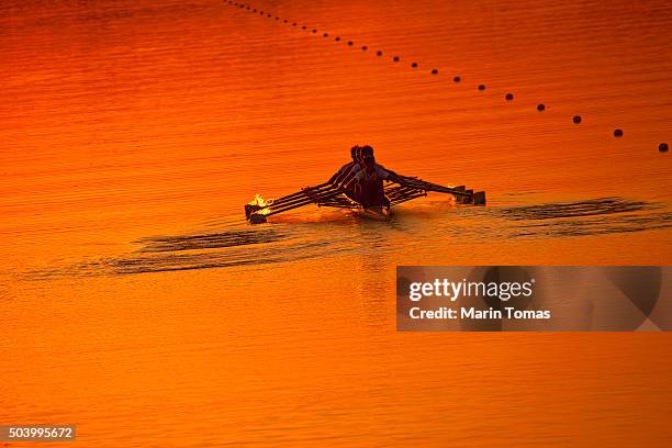 rowers in the sounset - coxed rowing bildbanksfoton och bilder