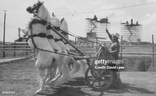 Horses being trained for the movie, Ben Hur.