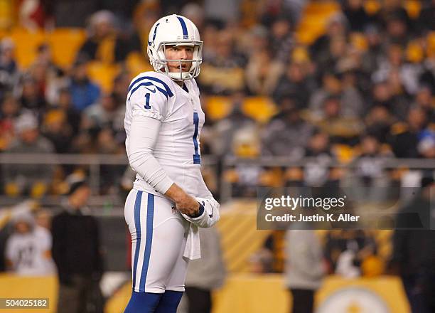 Pat McAfee of the Indianapolis Colts in action during the game against the Pittsburgh Steelers on December 6, 2015 at Heinz Field in Pittsburgh,...