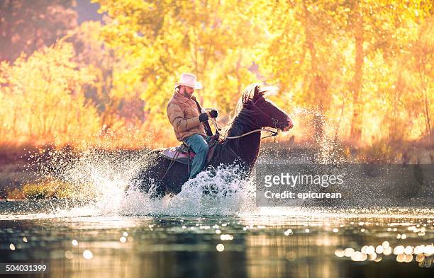 cowboy rides horse through river on beautiful sunny fall morning - country western outside stockfoto's en -beelden