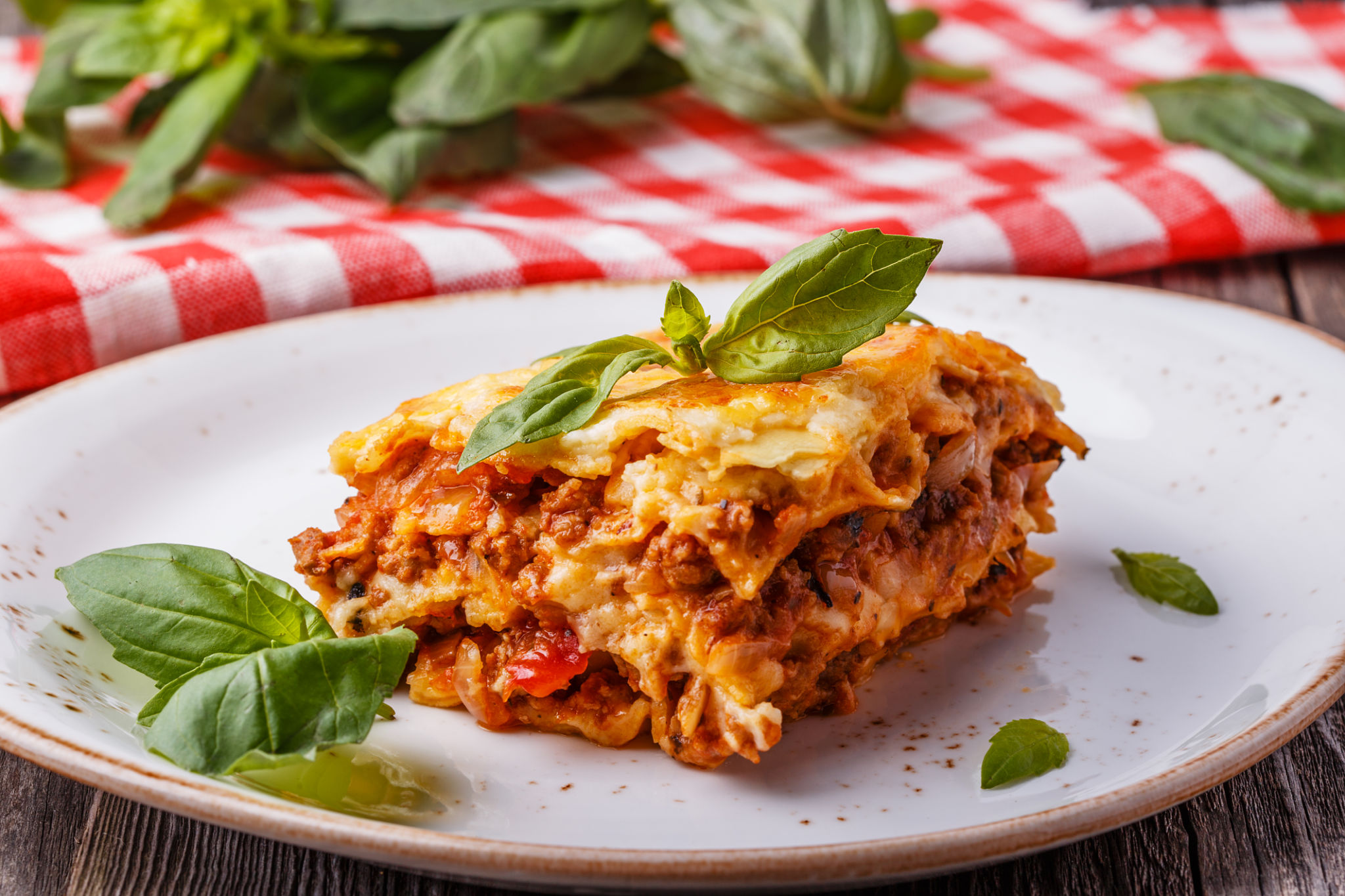 italian lasagna