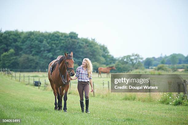 woman walking with horse in paddocks. - pferdeartige stock-fotos und bilder