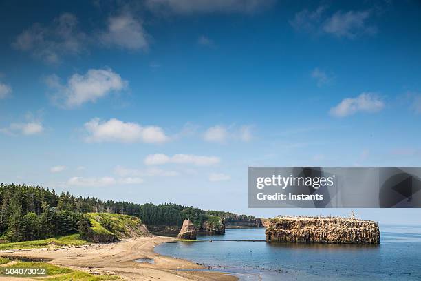 pokeshaw beach - new brunswick canada stockfoto's en -beelden