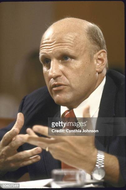 Assistant Defence Secretary Richard L. Armitage testifying before the Senate Foreign Relations Committee about the situation in the Persian Gulf.