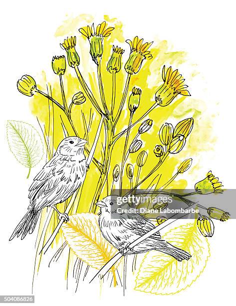 Spring Handwritting 1,267 Watercolor Wildflowers Stock Photos, High-Res Pictures, and ...