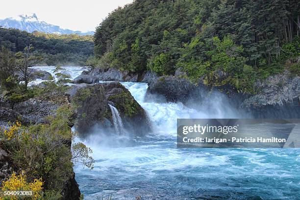 petrohué waterfalls, chile - petrohue river - fotografias e filmes do acervo