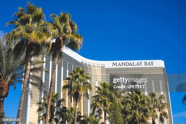 mandalay bay hotel and casino - mandalay bay resort & casino stock pictures, royalty-free photos & images