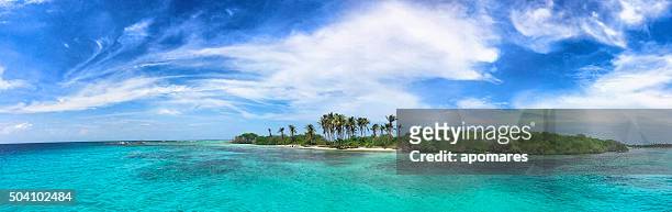 panoramic view of a tropical island in the caribbean - idyllic stock pictures, royalty-free photos & images