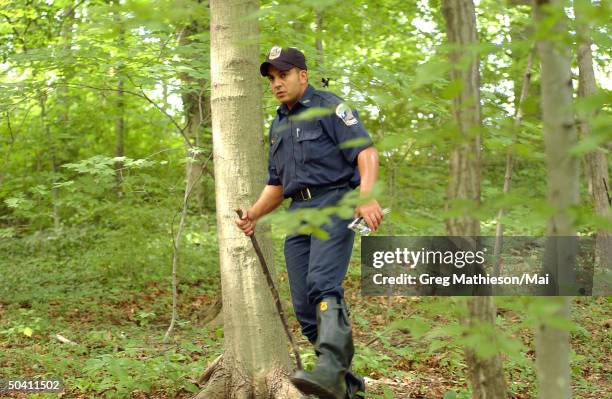 Police cadet searching the woods of Rock Creek Park for evidence following the disappearance of Washington intern Chandra Levy.