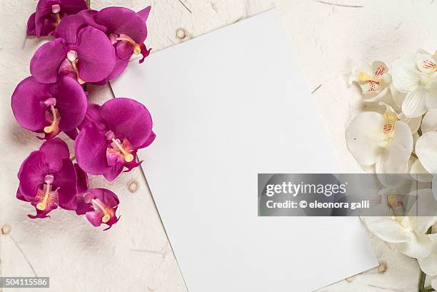 flower background - sfondo rosa stock-fotos und bilder