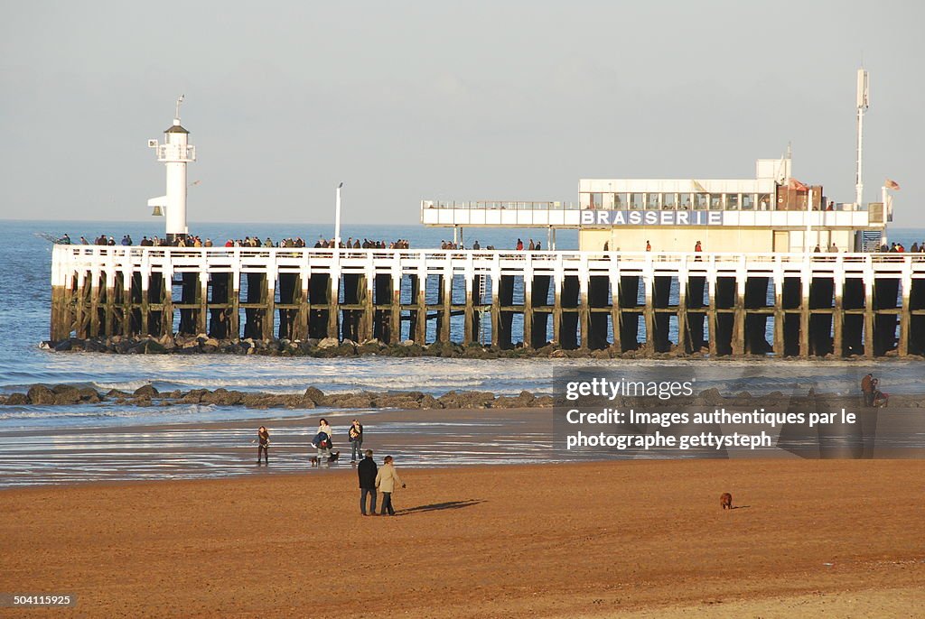 Walking near the pier at low tide