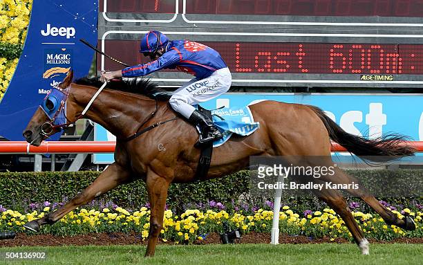 Mahuta wins the Guineas for two year olds during the Magic Millions Raceday at Gold Coast Turf Club on January 9, 2016 in Gold Coast, Australia.
