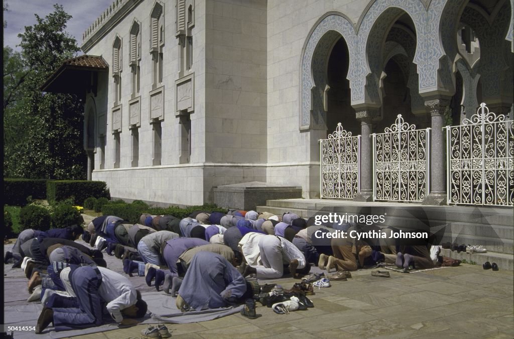 Rows of bowing Muslims in daily prayer o