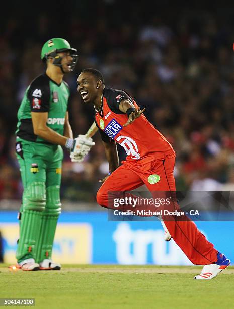 Dwayne Bravo of the Renegades celebrates his wicket of Marcus Stoinis of the Stars during the Big Bash League match between the Melbourne Renegades...