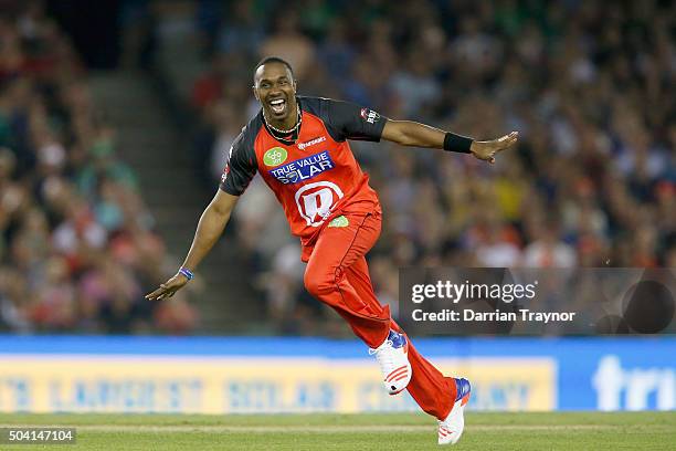 Dwayne Bravo of the Melbourne Renegades celebrates taking the wicket of Marcus Stoinis of the Melbourne Stars during the Big Bash League match...
