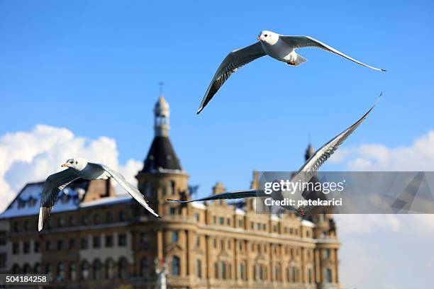 haydarpasa estación ferroviaria principal en kadikoy istanbul - haydarpasa fotografías e imágenes de stock