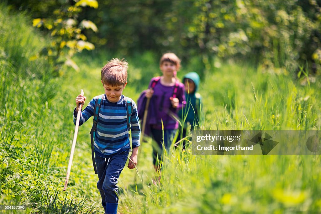 Spring little hikers walking among fresh green  nature