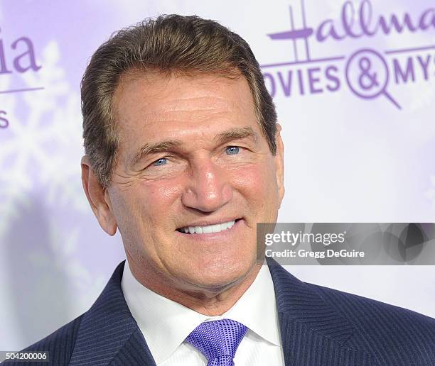 Joe Theismann arrives at the Hallmark Channel and Hallmark Movies and Mysteries Winter 2016 TCA Press Tour at Tournament House on January 8, 2016 in...