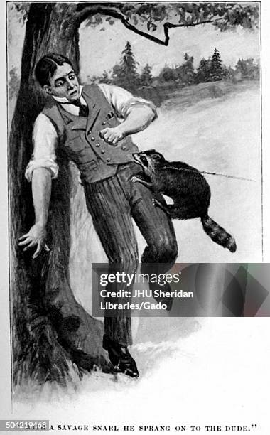 With a savage snarl he sprang on to the dude, illustration of a man being attacked by a raccoon, the raccoon biting at his vest, the man lurching...