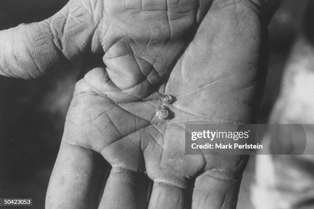 Closeup of two diamonds in the hand of diamond prospector James Archer which he found this week at Crater of Diamonds State Park.