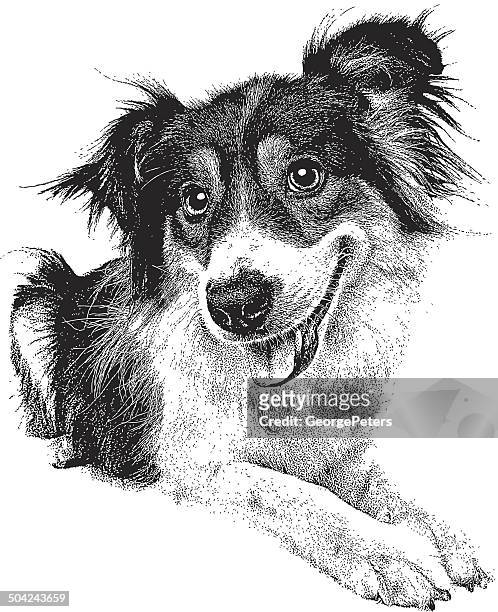 bildbanksillustrationer, clip art samt tecknat material och ikoner med happy dog cutout - australian shepherd